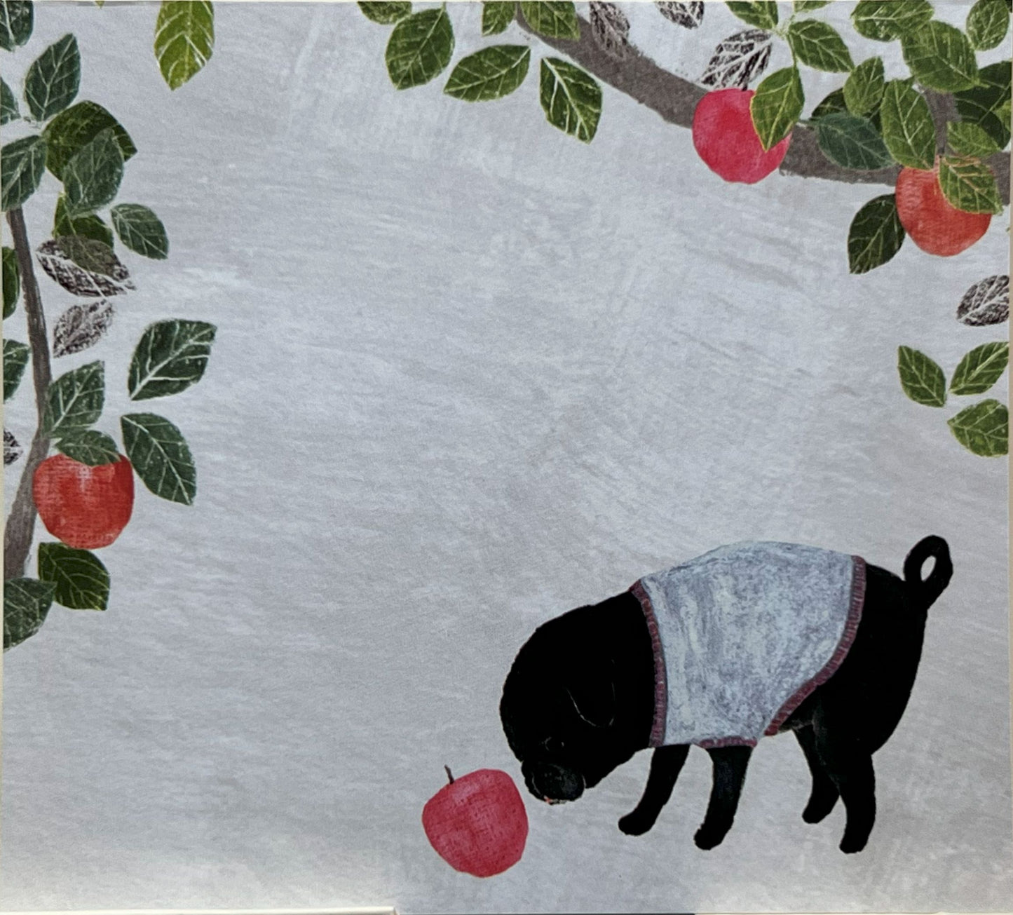 りんごを見つめる黒い犬と枝葉、淡いグレー背景
Black dog with red apple under tree branches, light gray background